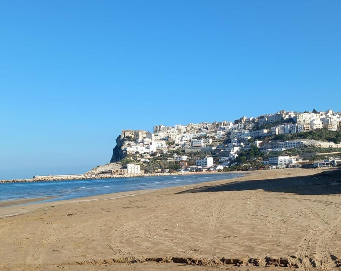 ペスキチ La Casa Al Mareヴィラ エクステリア 写真