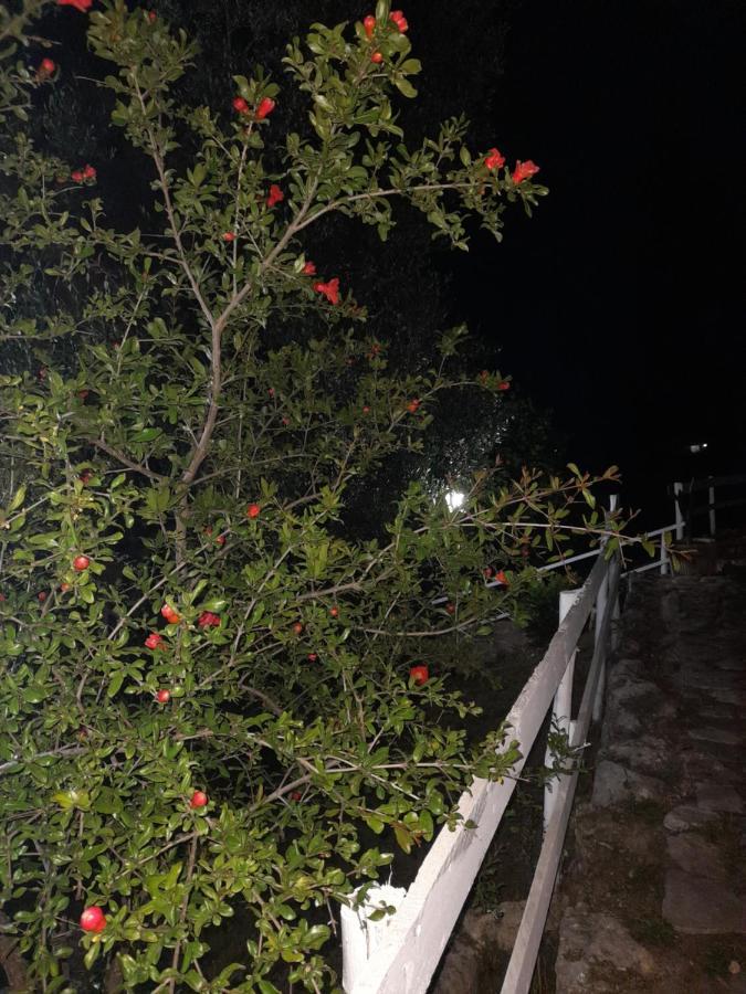 ペスキチ La Casa Al Mareヴィラ エクステリア 写真